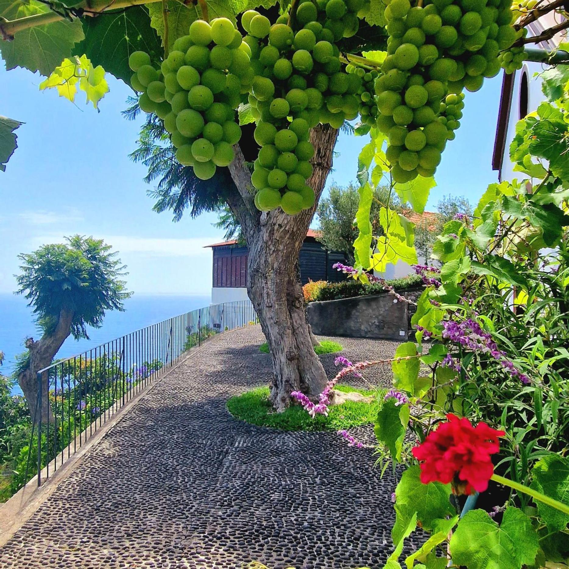 Torre Bella Gardens Villa Arco da Calheta  Luaran gambar